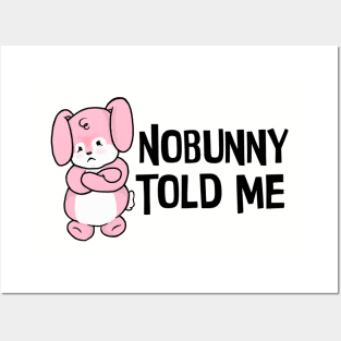 Nobunny Told Me Posters and Art